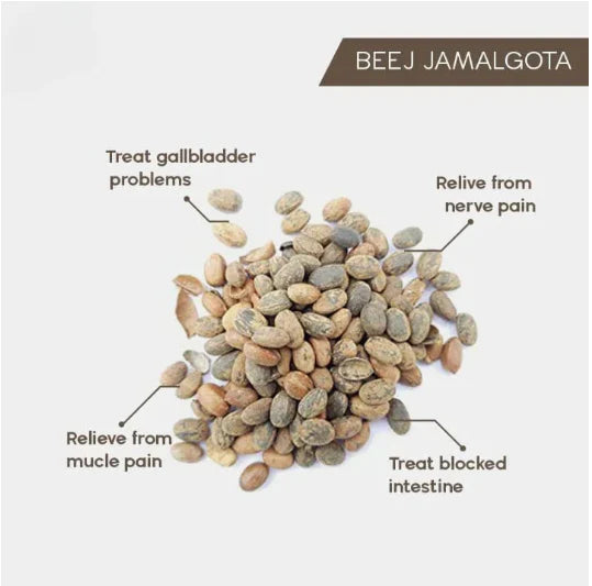 🌿 Jamalgota Ayurvedic Hair Growth Powder Buy 1 Get 1 Free🌿